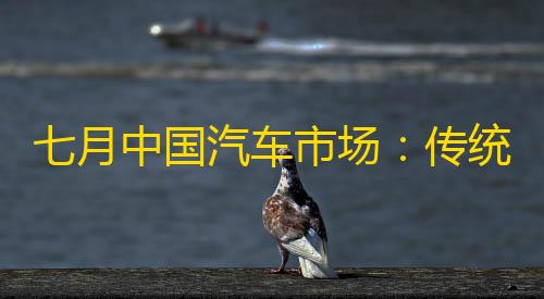区突围透视辅助功能七月中国汽车市场：传统淡季与新能源增长的交织